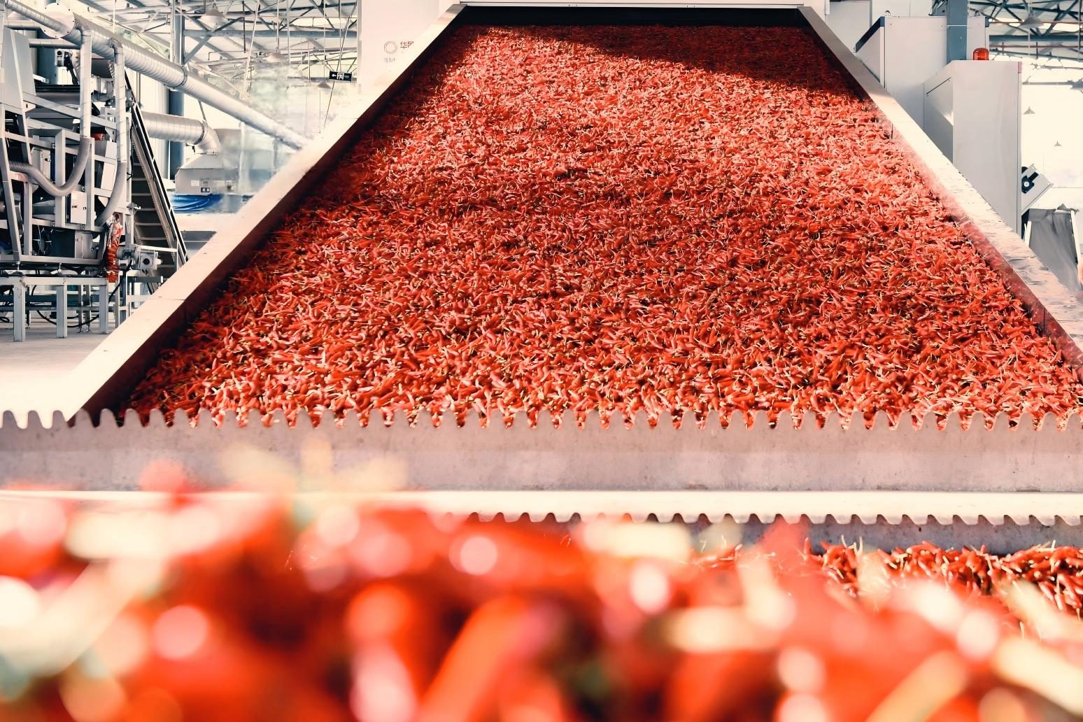 Tenda Peppers production line
